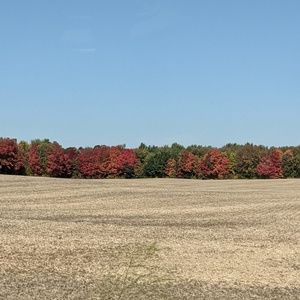 Meet your Posher, Chantel